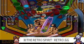 Game screenshot of Pinball Illusions