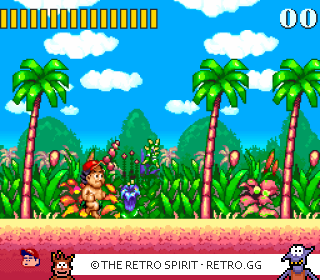 Game screenshot of Super Adventure Island