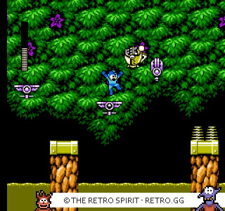 Game screenshot of Mega Man 6