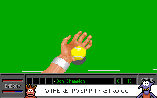 Game screenshot of 4D Sports Tennis