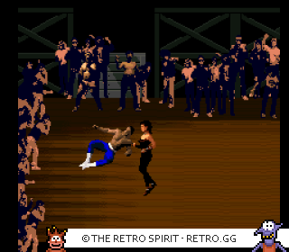 Game screenshot of Pit-Fighter