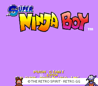 Game screenshot of Super Ninja Boy