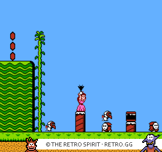 Game screenshot of Super Mario Bros. 2
