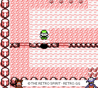 Game screenshot of Pokémon Red Version