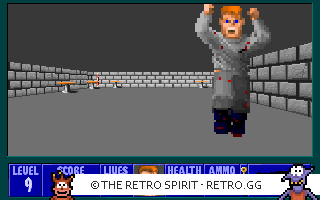 Game screenshot of Wolfenstein 3D